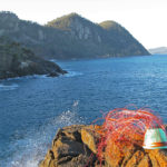 Telephone wire basket in progress, on the sea-sprayed rocks looking out to Hellfire Bluff, Tasmania.
