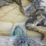 Telephone wire basket in progress, resting on sandstone rocks at Adventure Bay, Bruny Island, Tasmania.