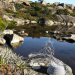 Telephone wire basket next to a tranquil alpine tarn on the mountain plateau above Lake Skinner, Tasmania.