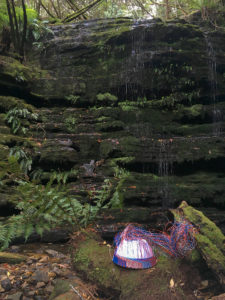 Telelphone wire basket in progress in front of a small waterfall a fern glade on kunanyi/Mt Wellington